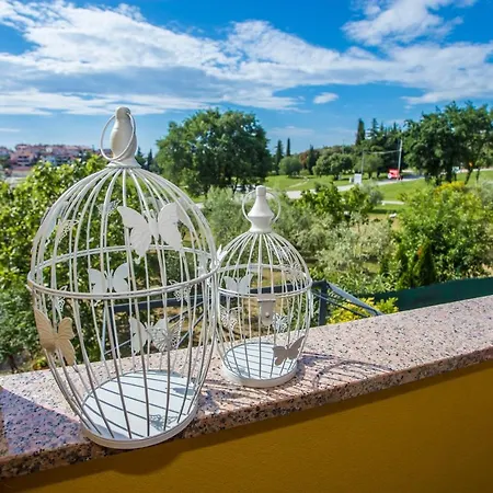 Apartman Apartman Vlado *