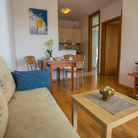 Apartman Vlado